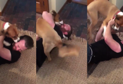 Chris Evans torna a casa dopo due mesi e mezzo sul set: guardate cosa fa il suo cane Dodger! Il video