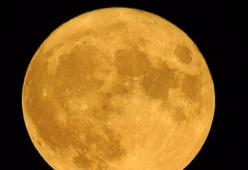 Domattina, se guardate il cielo, potrete ammirare l'affascinante "Luna del Grano" 