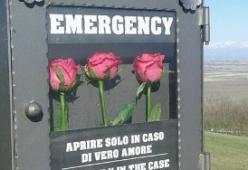 Rose gratis per le coppie, ma “solo in caso di vero amore”