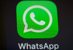 Novità per WhatsApp: arrivano le spunte verdi per i profili business