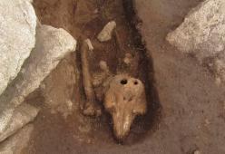 Mistero su un’isola: trovata antica tomba di un cetaceo in un monastero