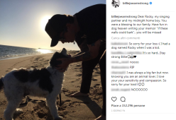 Billie Joe Armstrong dei Green Day dice addio al suo cane: "Divertiti nel paradiso dei cani"