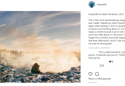 La triste fotografia dell'orso che muore in mezzo ai rifiuti