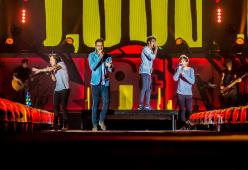 Urla al concerto dei One Direction: teenager in ospedale con i polmoni collassati