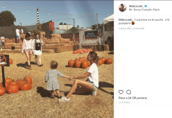 Ecco come le star stanno festeggiando il National Pumpkin Day!