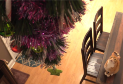 Come mettere al sicuro l’albero di Natale dal vostro animale domestico