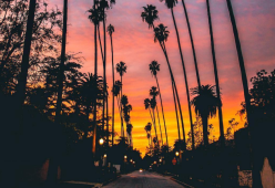 Ecco le 7 città più instagrammabili (lo confermano i dati Instagram)