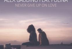 Never Give Up On Love