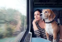 250mila cani e gatti sui treni italiani nel 2017