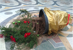 Rubato l’albero di Natale dalla Galleria Umberto I a Napoli