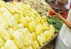 Sacchetti per frutta e verdura: sarà possibile portarli da casa ma solo se nuovi