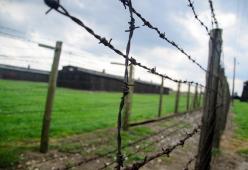 Report Eurispes shock: salito dal 2,7 al 15,6% il numero delle persone che negano la Shoah
