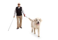 Cieco denuncia medico perché gli vieta di entrare in ambulatorio col suo cane guida