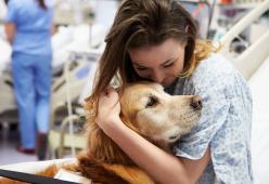 Nel Lazio cani e gatti ora sono ammessi in ospedale