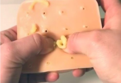Pop It Pal: l’oggetto che vi farà schiacciare brufoli (finti) tutto il giorno