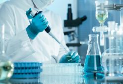 Trovata la proteina che provoca la crescita dei tumori grazie a un team italiano