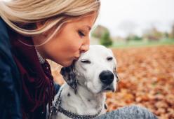 Sorpresa: i cani obbediscono di più alle donne