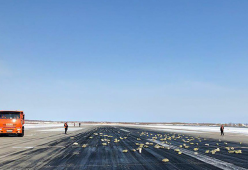 In Russia un aereo perde 172 lingotti d’oro durante il decollo