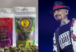 J-Ax presenta "Maria Salvador", la sua cannabis legale
