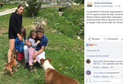Gemelline scomparse: la loro pitbull le ha protette tutto il tempo
