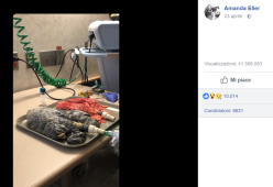Video shock: il confronto tra i polmoni di un fumatore e quelli di un non fumatore