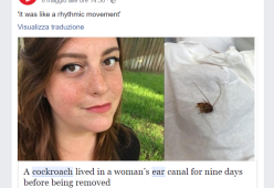 Ragazza americana resta 9 giorni con uno scarafaggio dentro l’orecchio