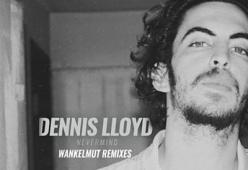 Nevermind (Wankelmut Remix)