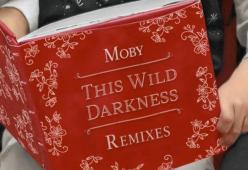 This Wild Darkness (CYA Remix)