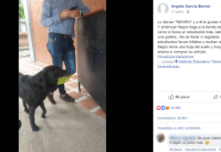 In Colombia c’è un cane che “paga” i suoi biscotti al bar
