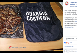 Mangiano molluschi in specie protetta e postano la foto: denunciato il titolare 