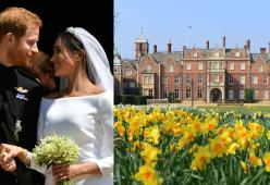 Il regalo della Regina per Harry e Meghan: un cottage con parco di 240 ettari
