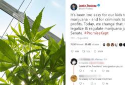 La marijuana a scopo ricreativo è stata legalizzata in Canada