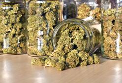 Il Consiglio superiore della sanità dice no alla cannabis light in Italia