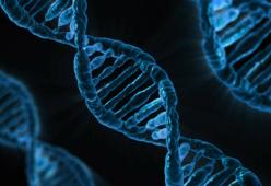 In Cina i primi esseri umani geneticamente modificati: sono immuni all’HIV