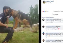 Addio a Kaos, il cane-eroe di Amatrice