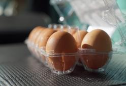 Allarme salmonella: uova ritirate dai negozi italiani