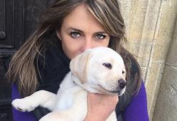 Fattorino Amazon investe il cane dell’attrice Liz Hurley. Ora l'azienda dovrà risarcirla