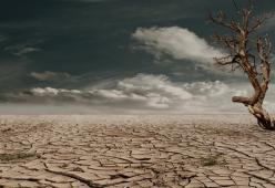 Allerta clima dalle Nazioni Unite: previsti cambiamenti catastrofici