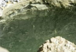 Nessun pesce nel Mar Morto: ecco la verità sulla foto che ha fatto il giro del mondo
