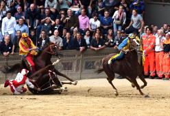 Palio di Siena: abbattuto Raol, cavallo della Giraffa