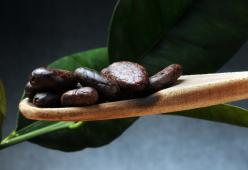 La storia del cioccolato sarebbe più antica di quello che si pensa
