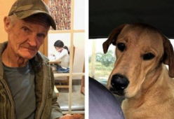 Cane spara al padrone, lui lo difende: “È un cane buono”