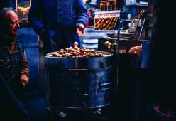 A Pavia è vietato arrostire castagne per strada, lo dice una delibera del 1881