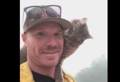 California: un pompiere salva un gatto dall'incendio e l'animale non vuole più lasciarlo