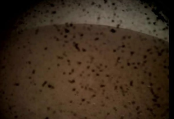 La sonda Insight della Nasa è atterrata su Marte: ecco le prime foto