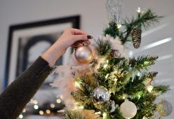Sai quando andrebbe fatto l'Albero di Natale?