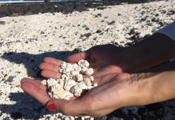 A Fuerteventura esiste la “spiaggia di pop corn”, ecco perché si chiama così