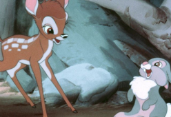 Cacciatore di cervi condannato a guardare Bambi almeno una volta al mese 