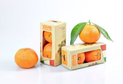 Clementine al posto delle merendine nei distributori automatici a scuola