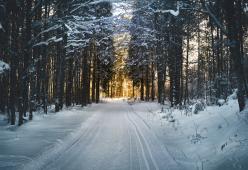 È arrivato il solstizio d’inverno: ecco le leggende legate a questo momento dell’anno